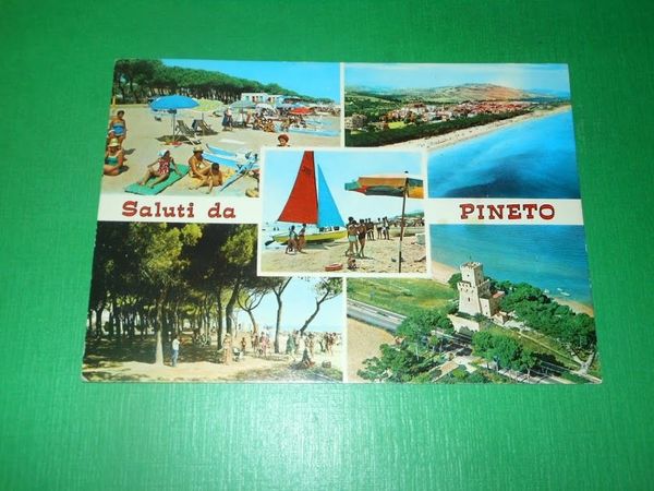 Cartolina Saluti da Pineto - Vedute diverse 1986