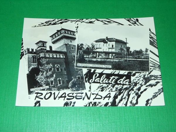 Cartolina Saluti da Rovasenda ( Vercelli ) - Allevamento Fagiani …