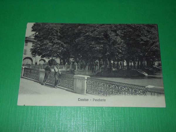 Cartolina Treviso - Pescheria 1913