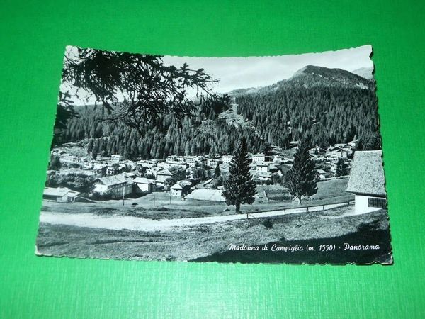 Cartolina Madonna di Campiglio - Panorama 1957.