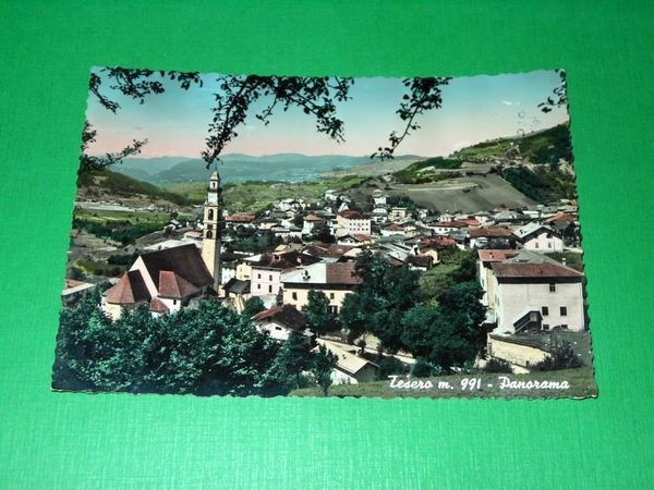 Cartolina Tesero ( Trento ) - Panorama 1956.