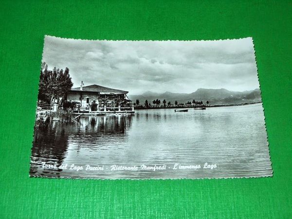 Cartolina Torre del Lago Puccini - Ristorante Manfredi - Il …