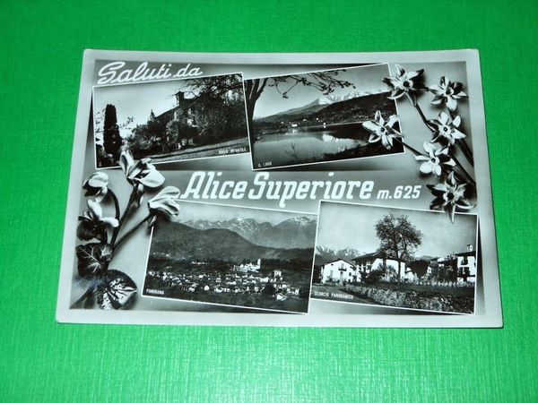 Cartolina Saluti da Alice Superiore - Vedute diverse 1961.