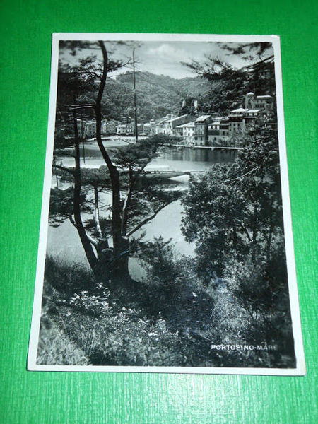 Cartolina Portofino - Scorcio panoramico 1947