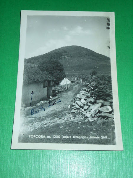 Cartolina Forcora ( sopra Graglio ) - Monte Sirti 1950 …