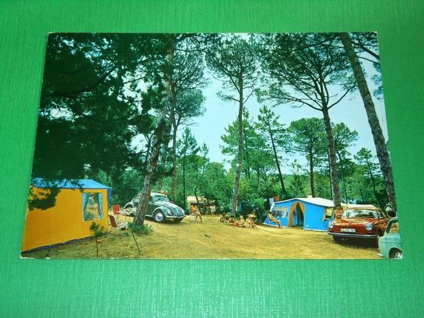 Cartolina Marina di Castagneto - Livorno - International Camping Etruria …
