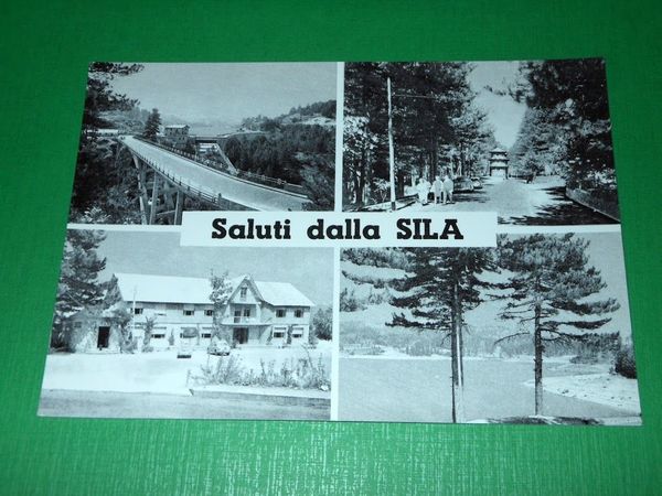 Cartolina Saluti dalla Sila - Vedute diverse 1955 ca