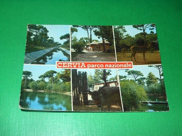 Cartolina Cervia - Parco Nazionale - Vedute diverse 1985