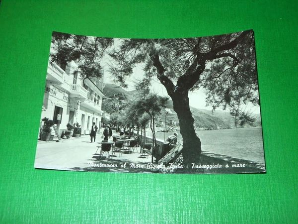 Cartolina Monterosso al Mare ( Cinque Terre ) - Passeggiata …