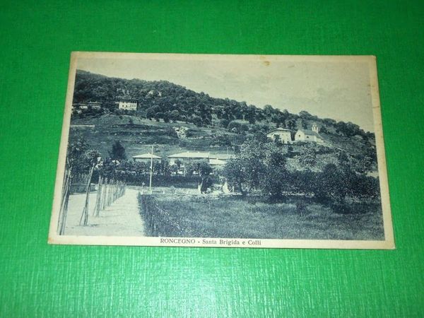 Cartolina Roncegno ( Trento ) - Santa Brigida e Colli …