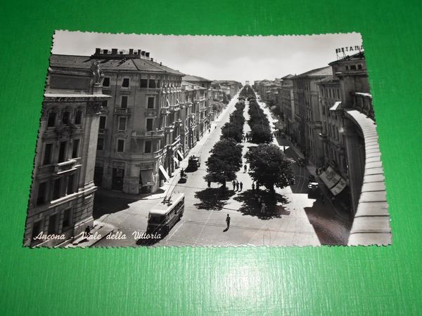 Cartolina Ancona - Viale della Vittoria 1955 ca