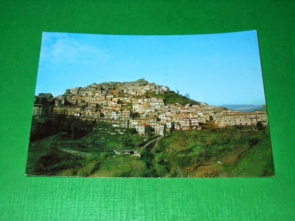 Cartolina Tiriolo ( Catanzaro ) - Panorama 1980