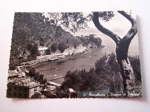Cartolina S. Margherita - Visione di Paraggi 1954
