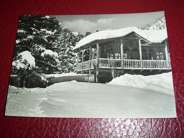 Cartolina Gressoney St. Jean Chalet di Weissmatten 1954