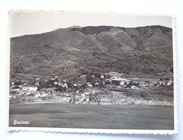 Cartolina Gavirate ( Varese ) - Panorama 1960