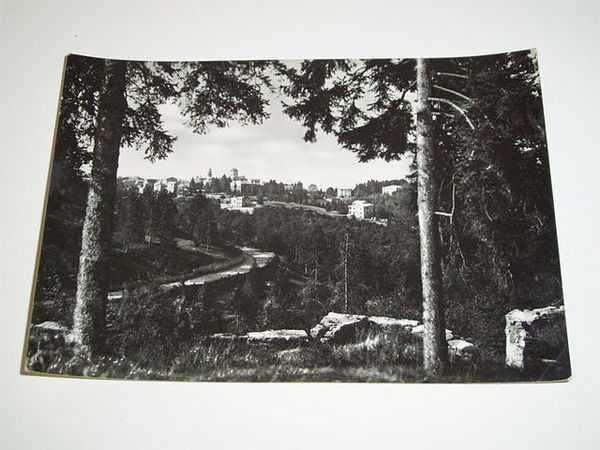 Cartolina Bosco Chiesanuova (Verona) - Panorama 1959