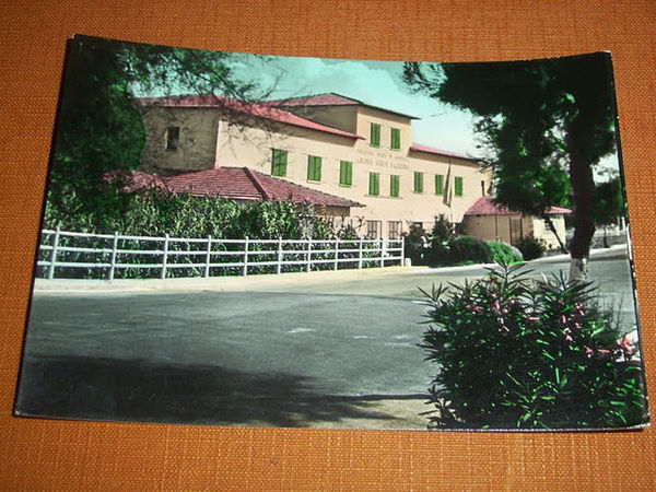 Cartolina S. Vincenzo ( Livorno ) - Colonia Senese S. …