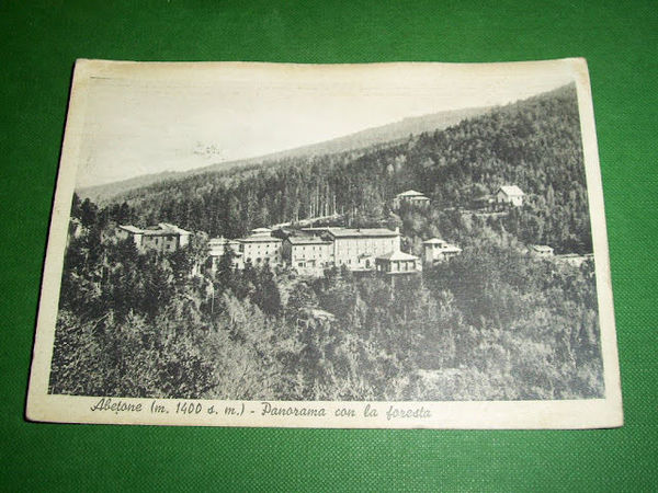 Cartolina Abetone - Panorama con la foresta 1951