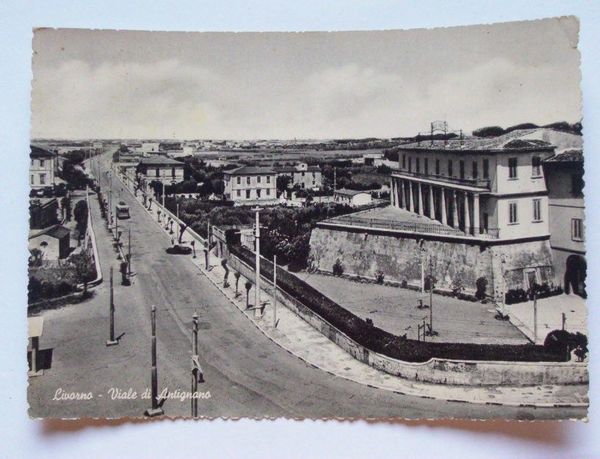 Cartolina Livorno - Viale di Antignano 1955