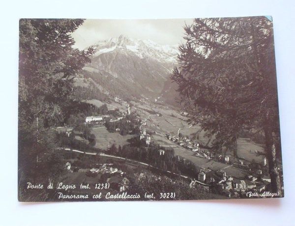 Cartolina Ponte di Legno Panorama col Castellaccio 1951