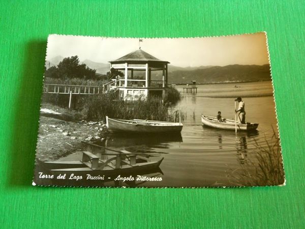 Cartolina Torre del lago Puccini - Angolo pittoresco 1954