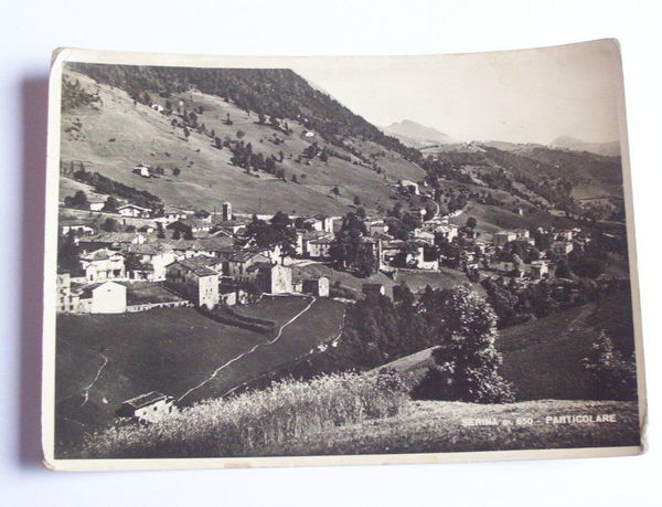 Cartolina Serina ( Bergamo ) - Panorama 1949