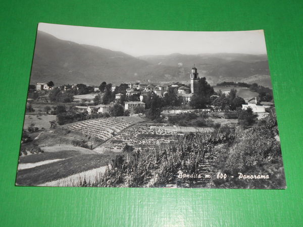 Cartolina Bandita ( Alessandria ) - Panorama 1965.