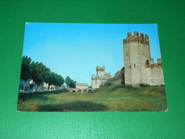 Cartolina Montagnana - Esterno Castello degli Alberi - Ostello 1974
