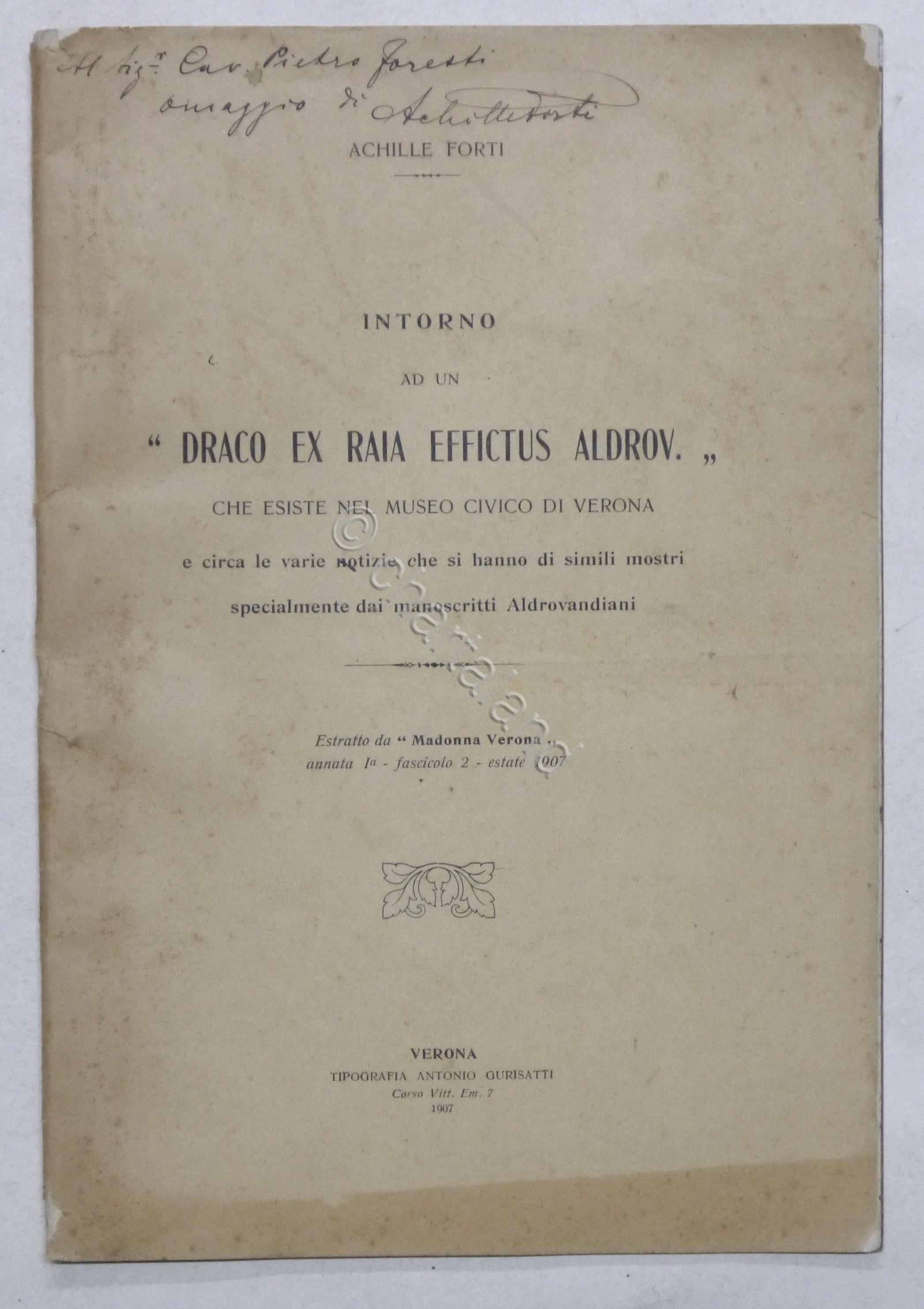 A. Forti - Intorno ad un Draco ex Raia effictus …
