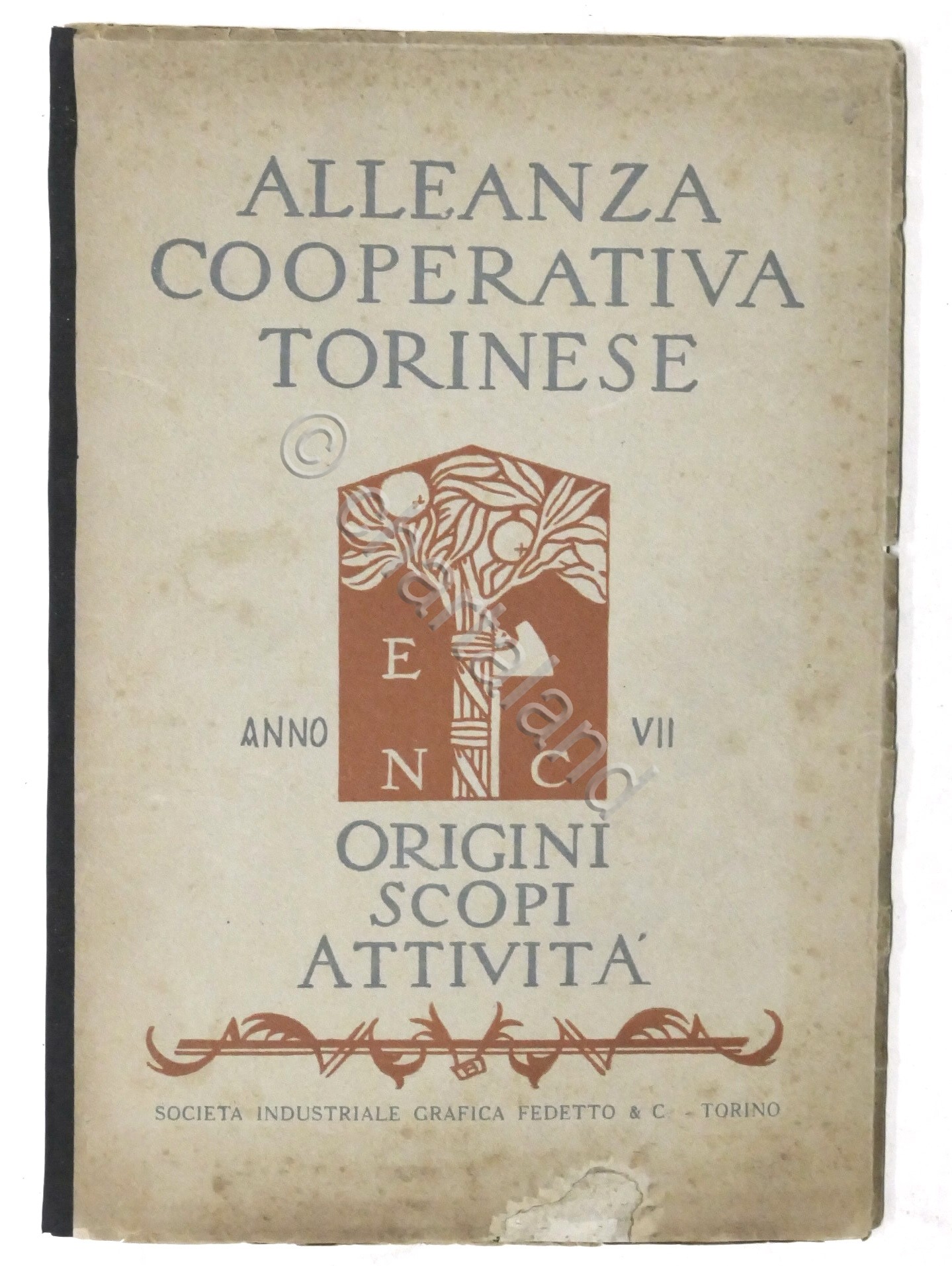 Alleanza Cooperativa Torinese - Origini Scopi Attività - 1929