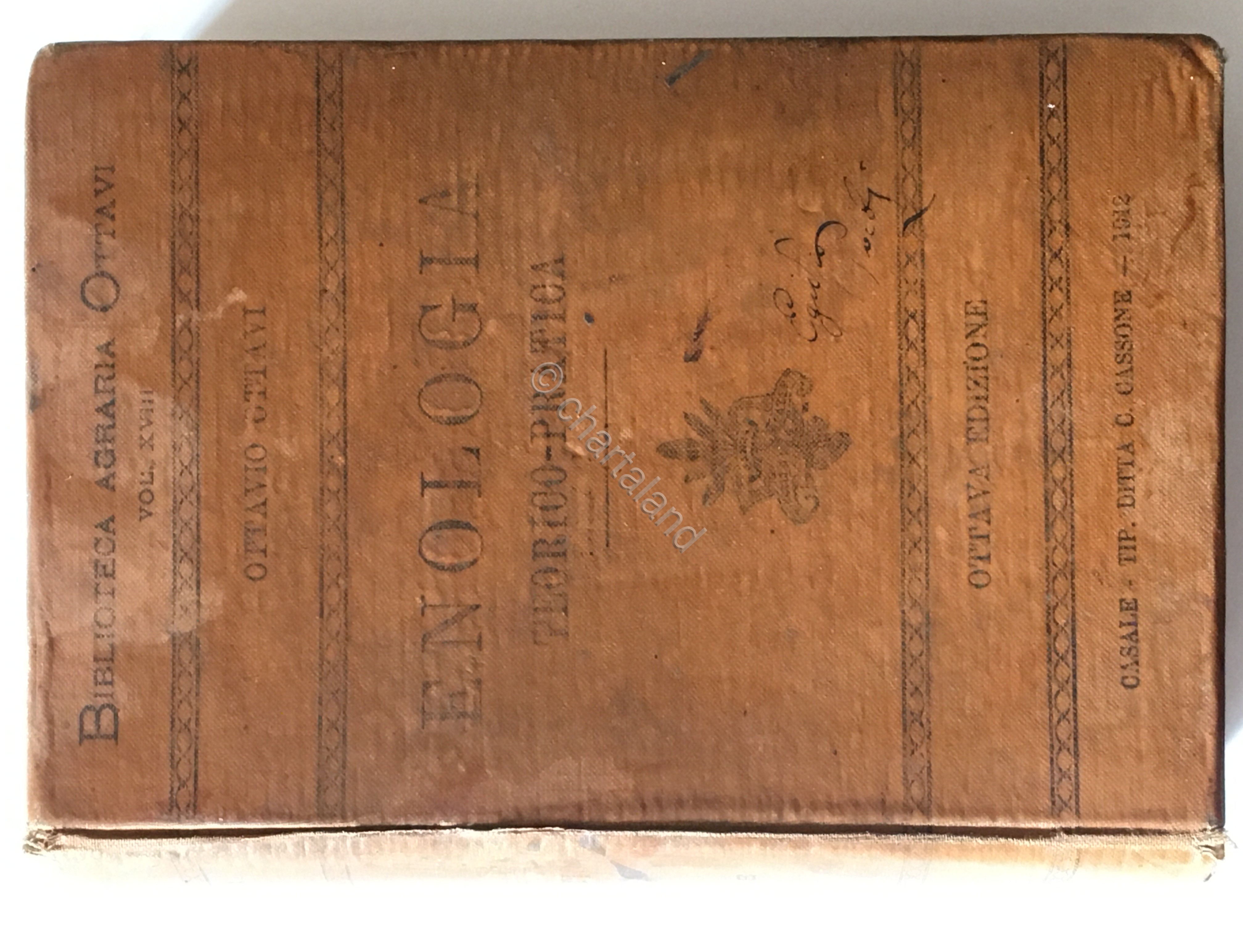 Biblioteca Agraria Ottavi - Enologia - Teorico - Pratica - …