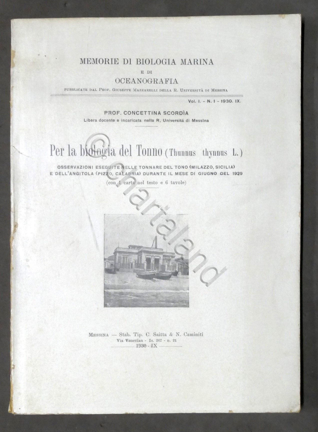 C. Scordia - Per la biologia del Tonno - Osservazioni …