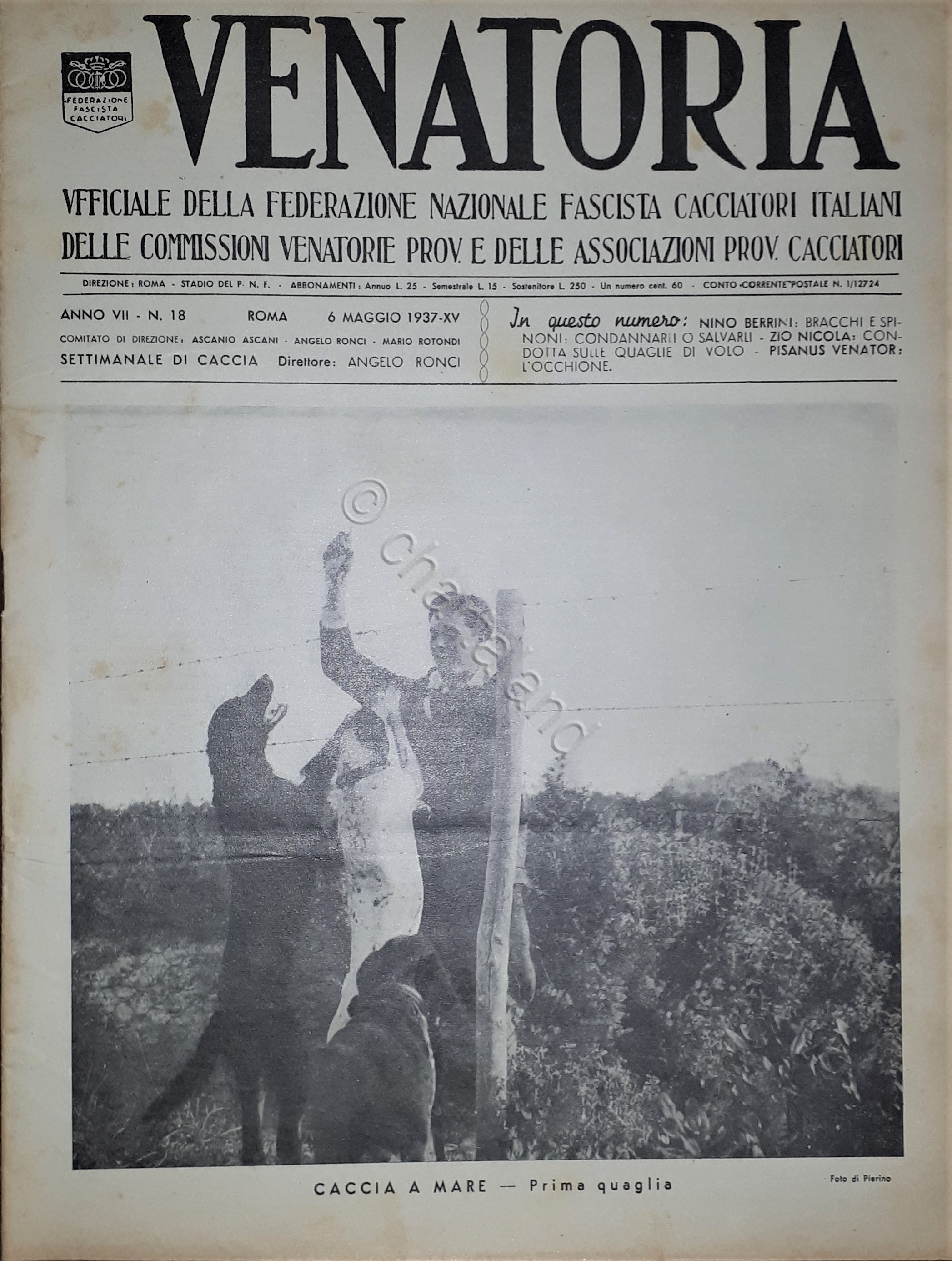Caccia Rivista - Venatoria N. 18 - Caccia a Mare …