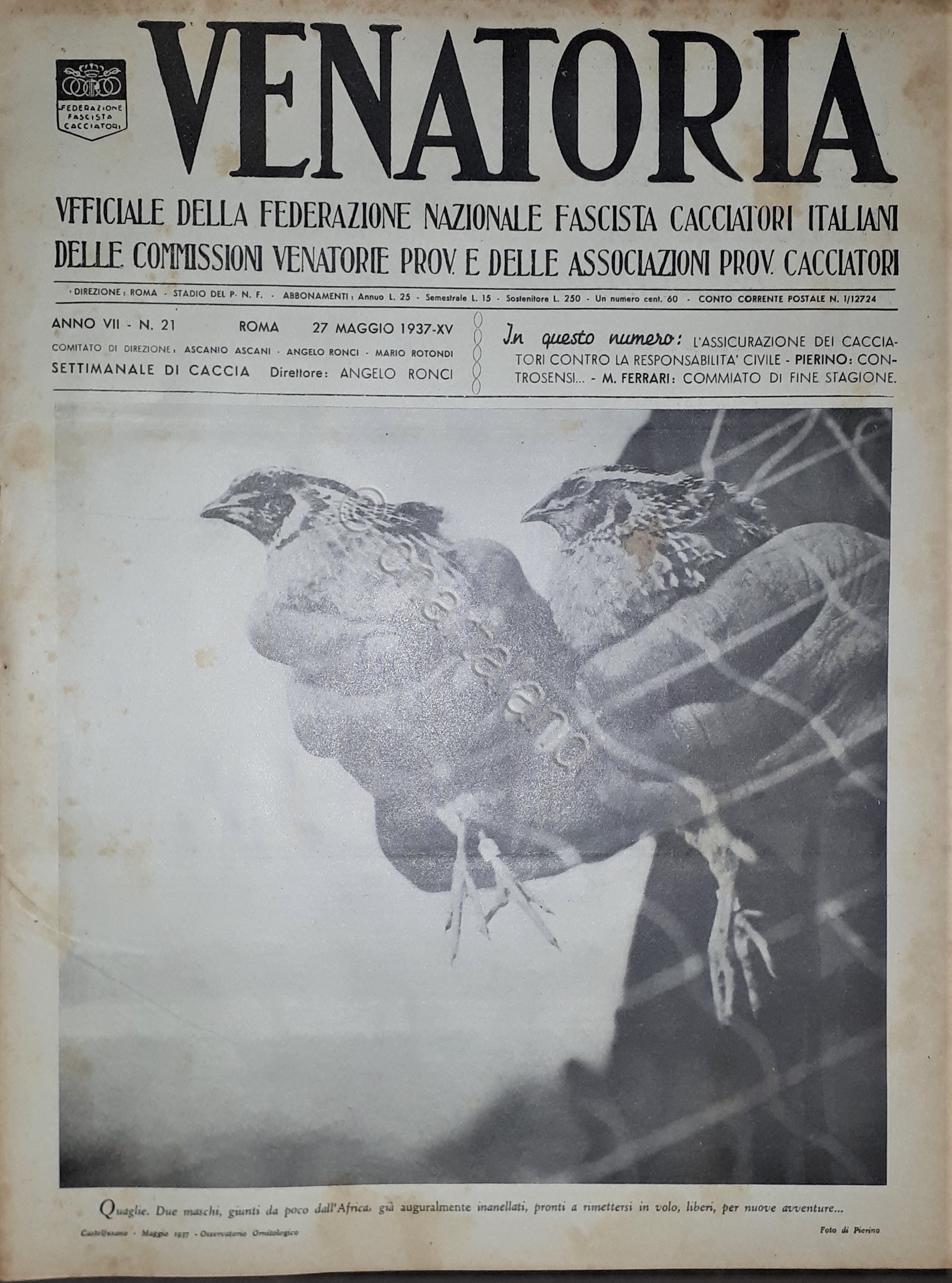 Caccia Rivista - Venatoria N. 21 - L'Assicurazione dei Cacciatori …