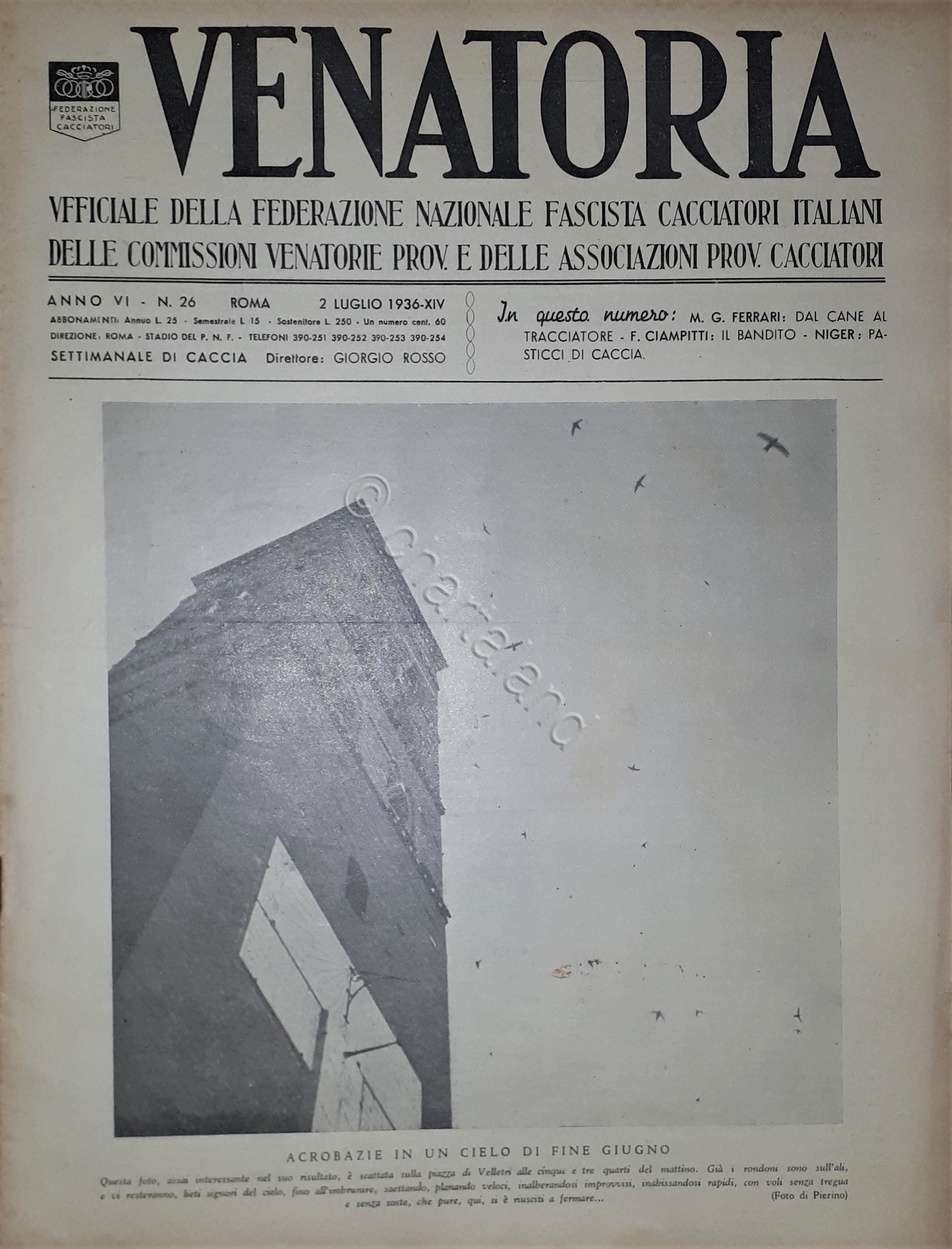 Caccia Rivista - Venatoria N. 26 - Acrobazie in un …