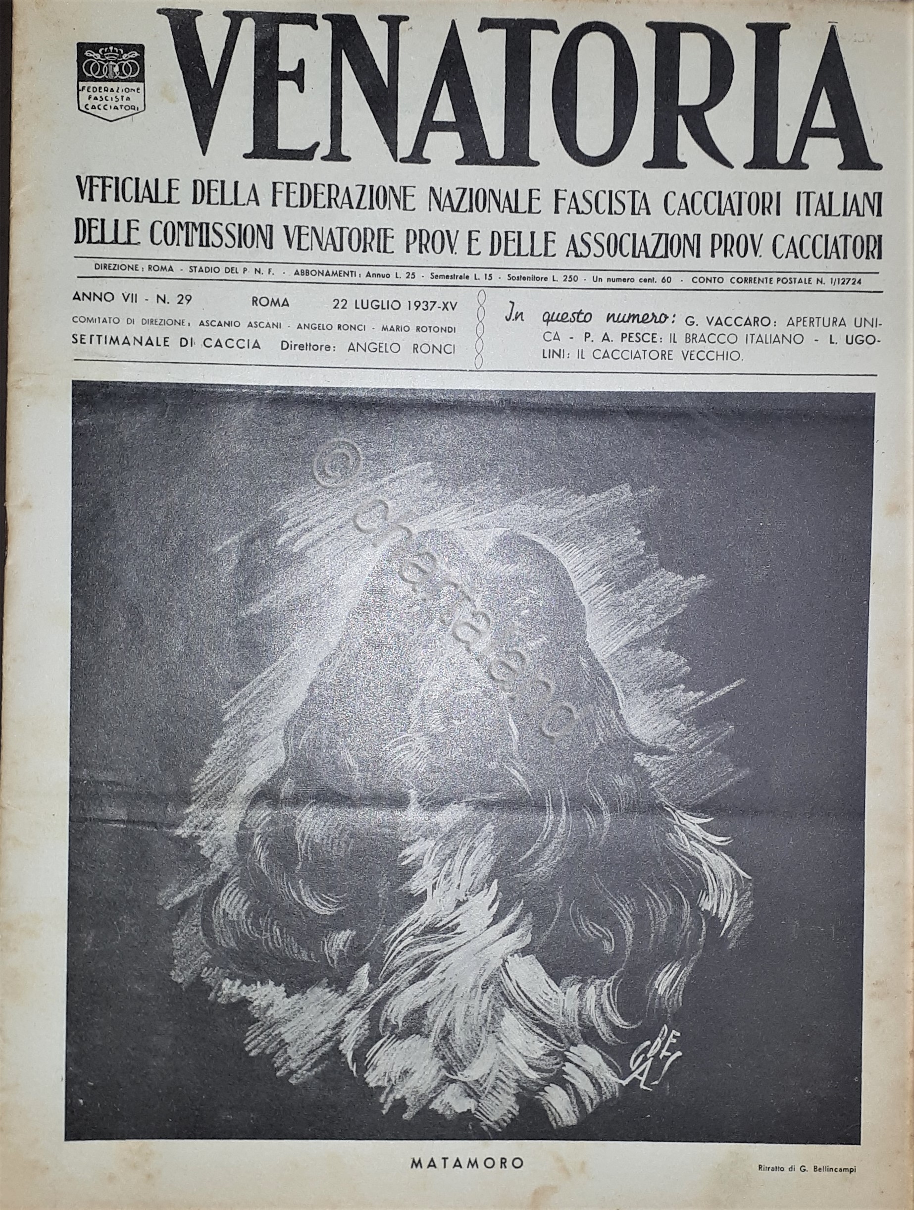 Caccia Rivista - Venatoria N. 29 - Matamoro - 1937