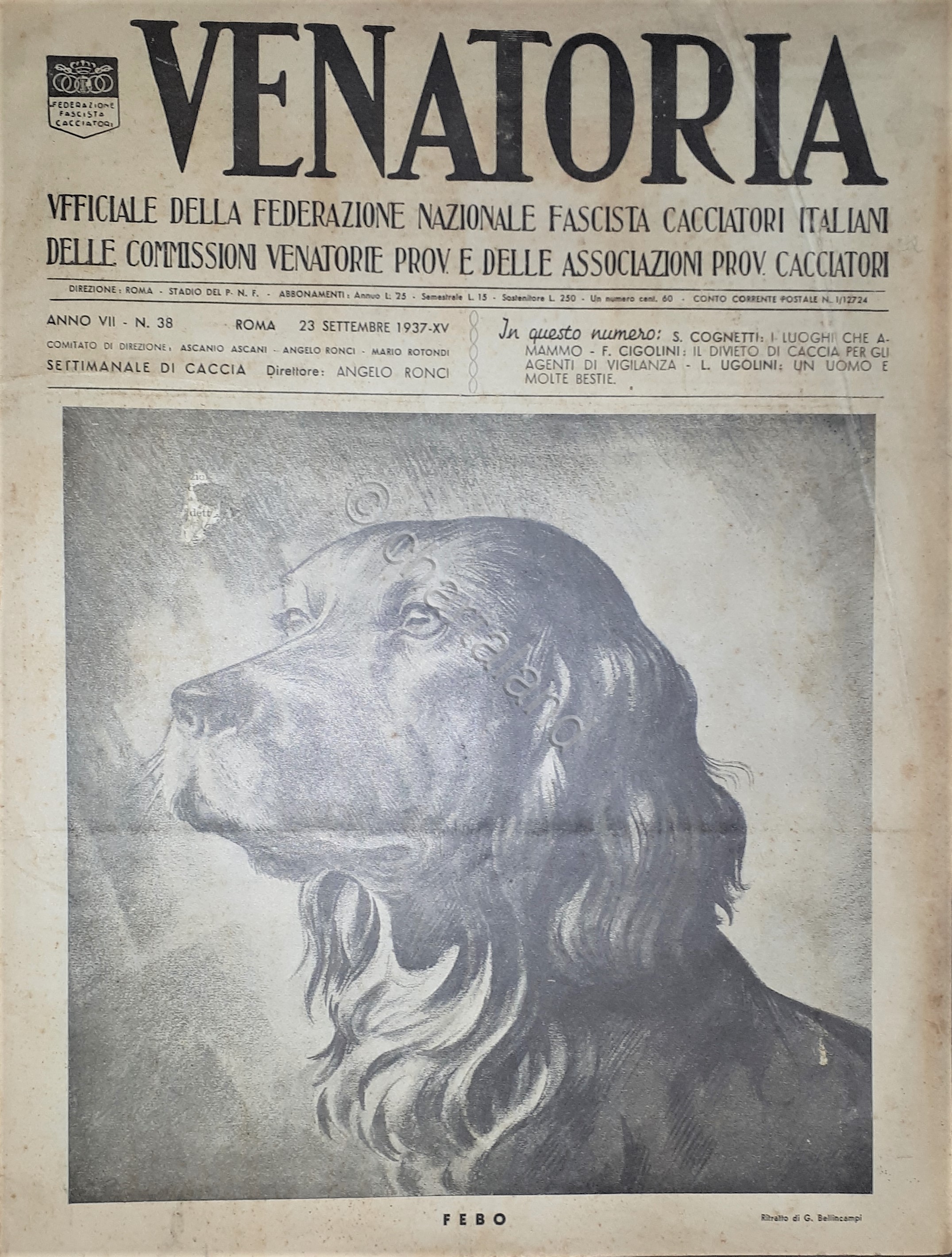 Caccia Rivista - Venatoria N. 38 - Febo - 1937