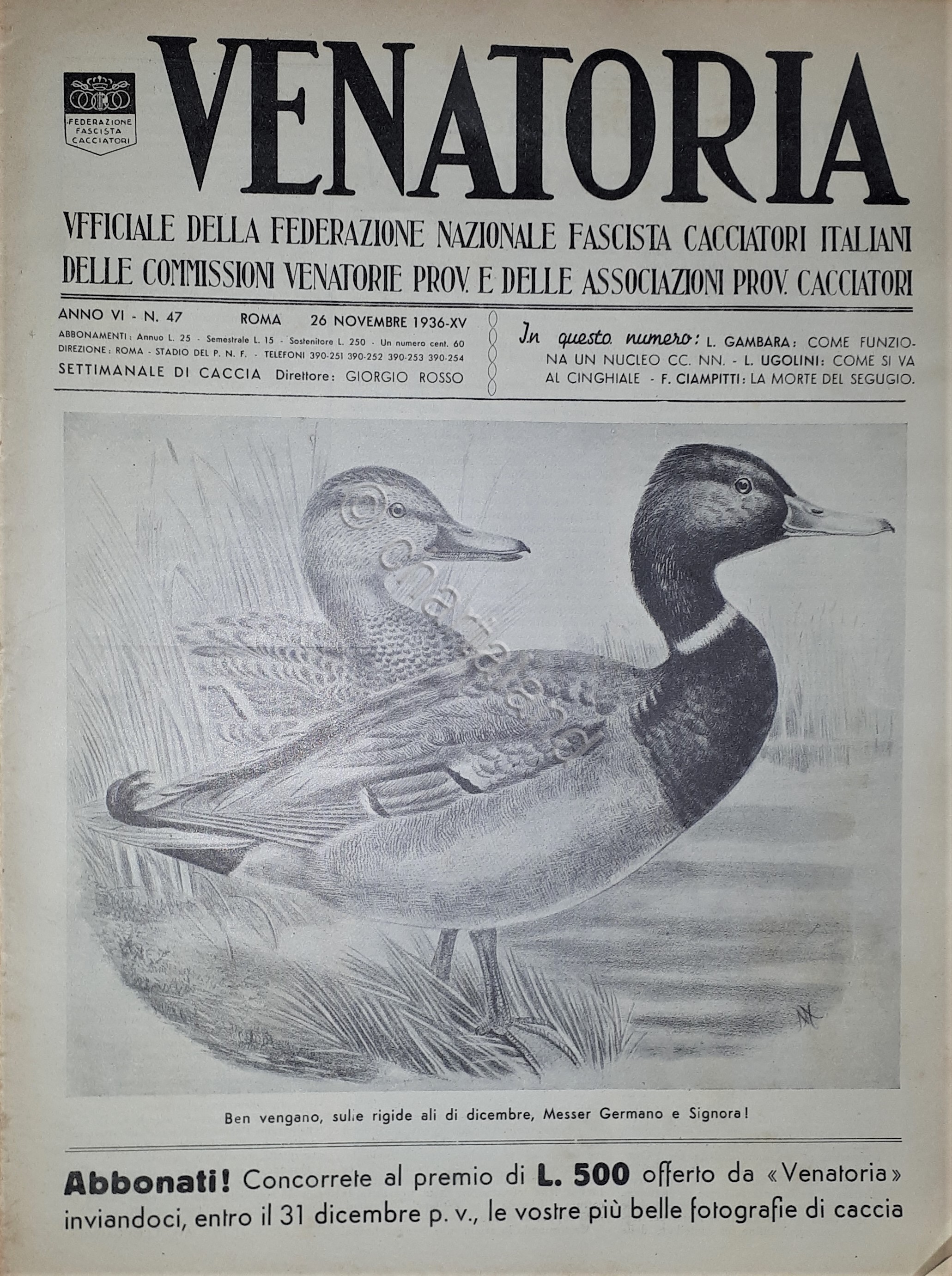 Caccia Rivista - Venatoria N. 47 - 1936