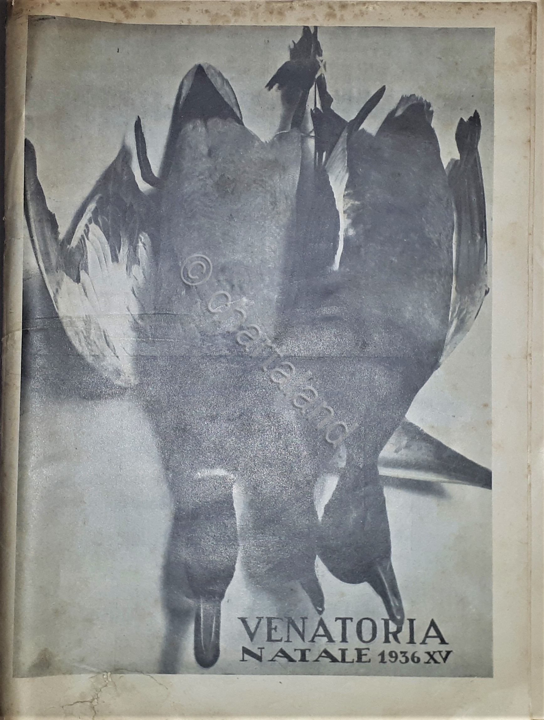 Caccia Rivista - Venatoria Natale - 1936