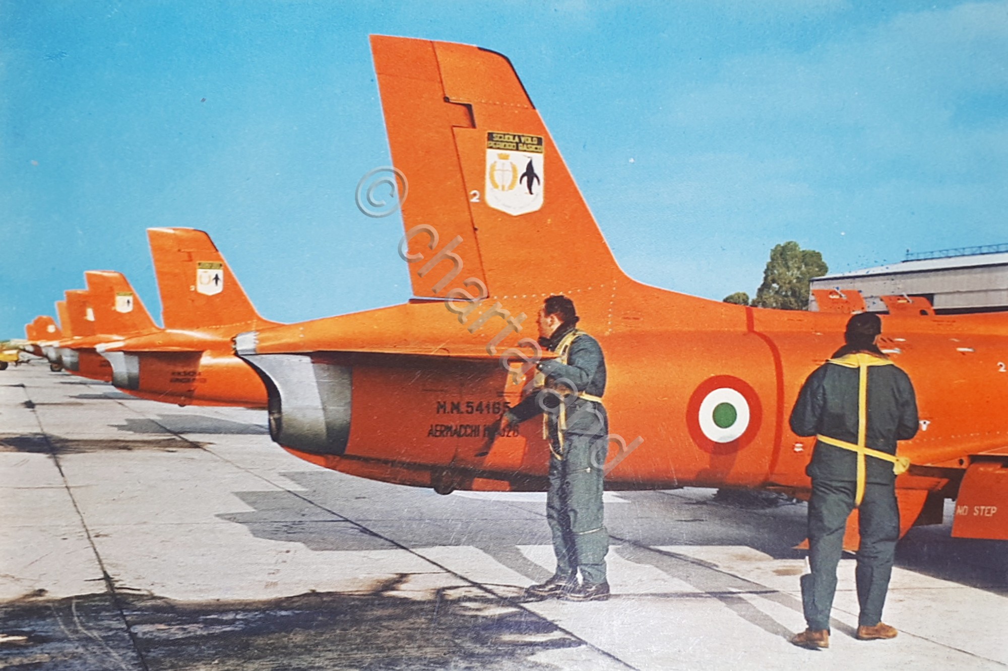 Cartolina - Aeronautica - Aermacchi MB326 - 1960 ca.