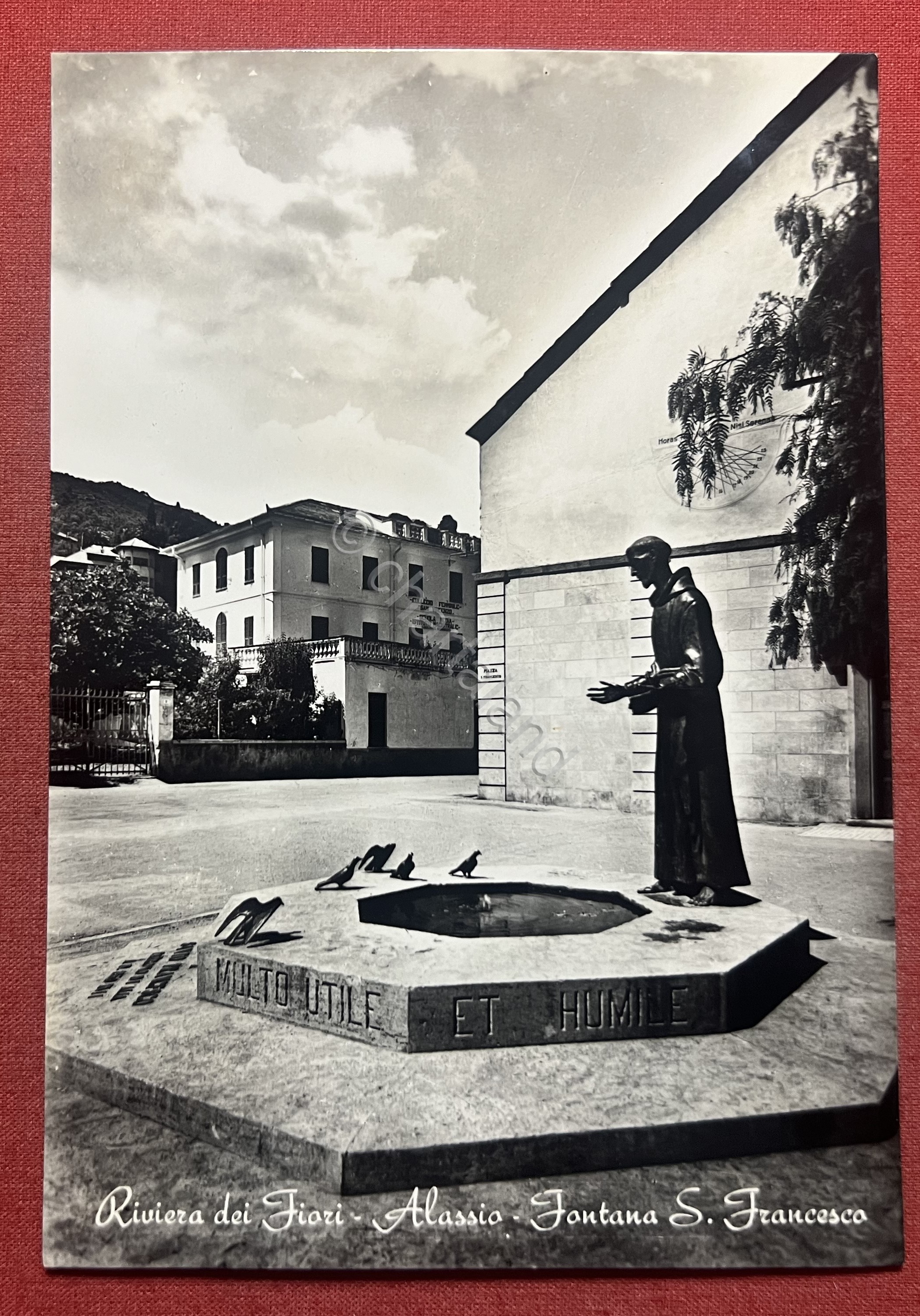 Cartolina - Alassio ( Savona ) - Riviera dei Fiori …