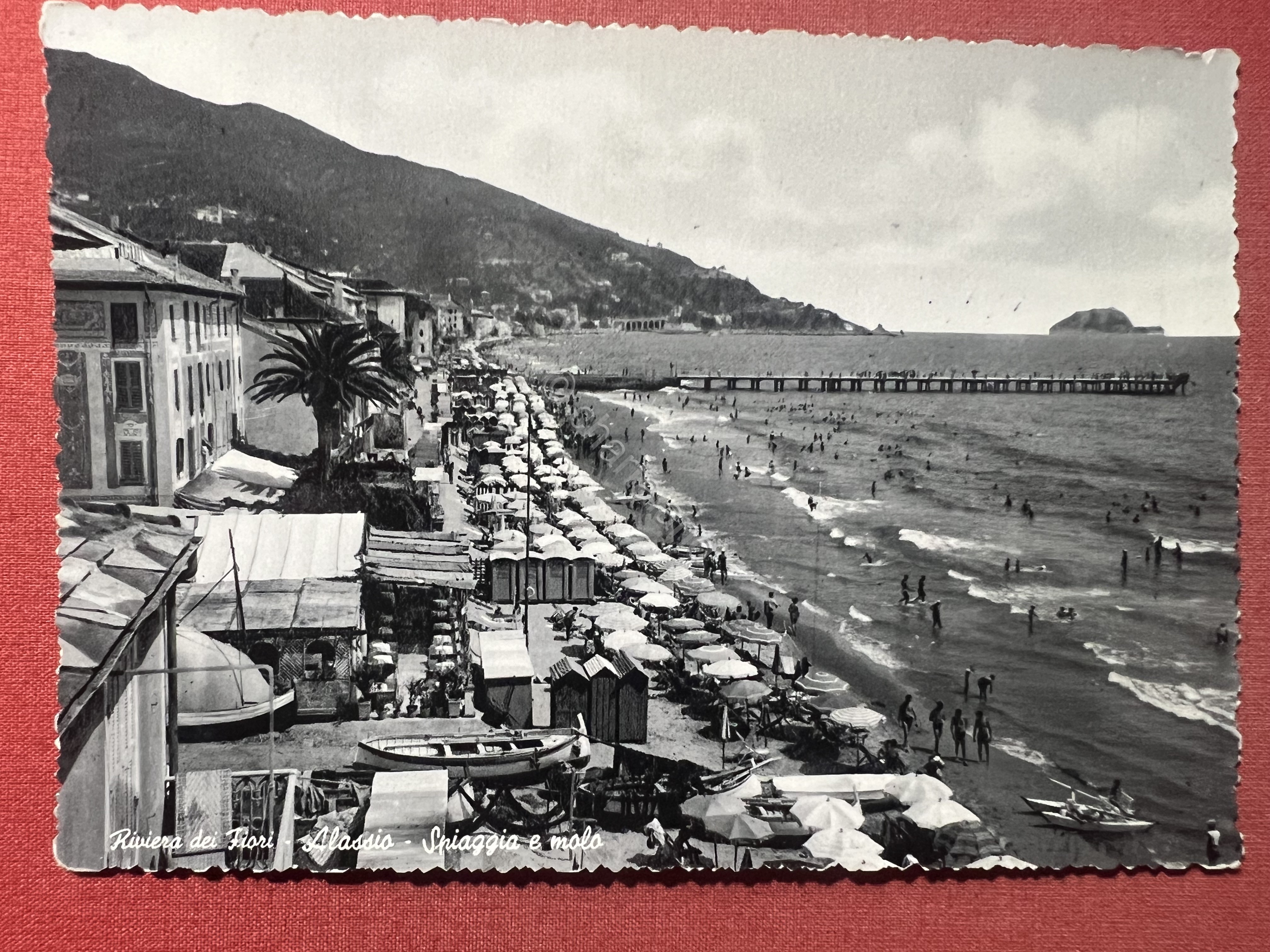 Cartolina - Alassio ( Savona ) - Riviera dei Fiori …