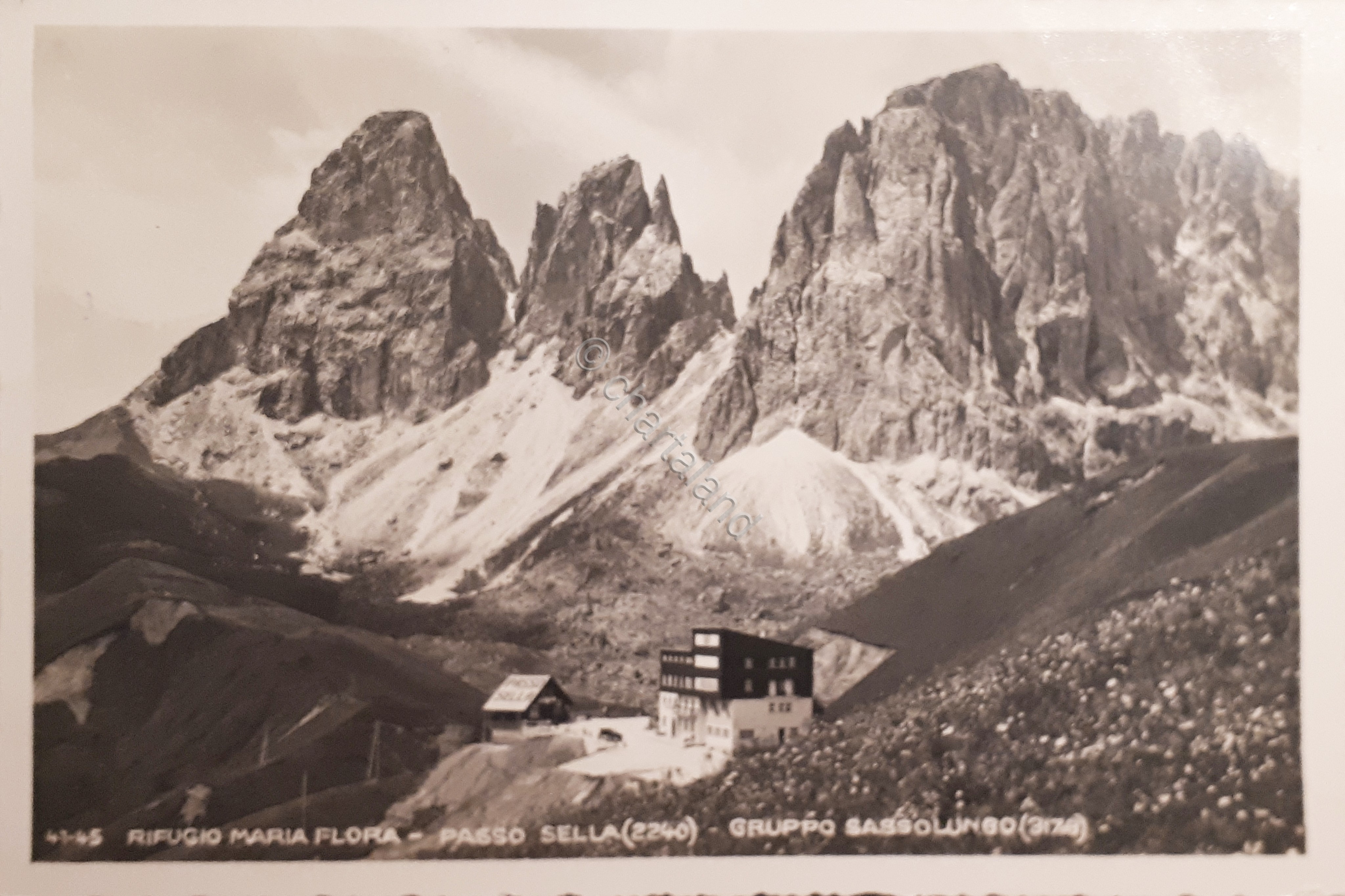 Cartolina - Albergo Maria Flora - Passo Sella - Gruppo …