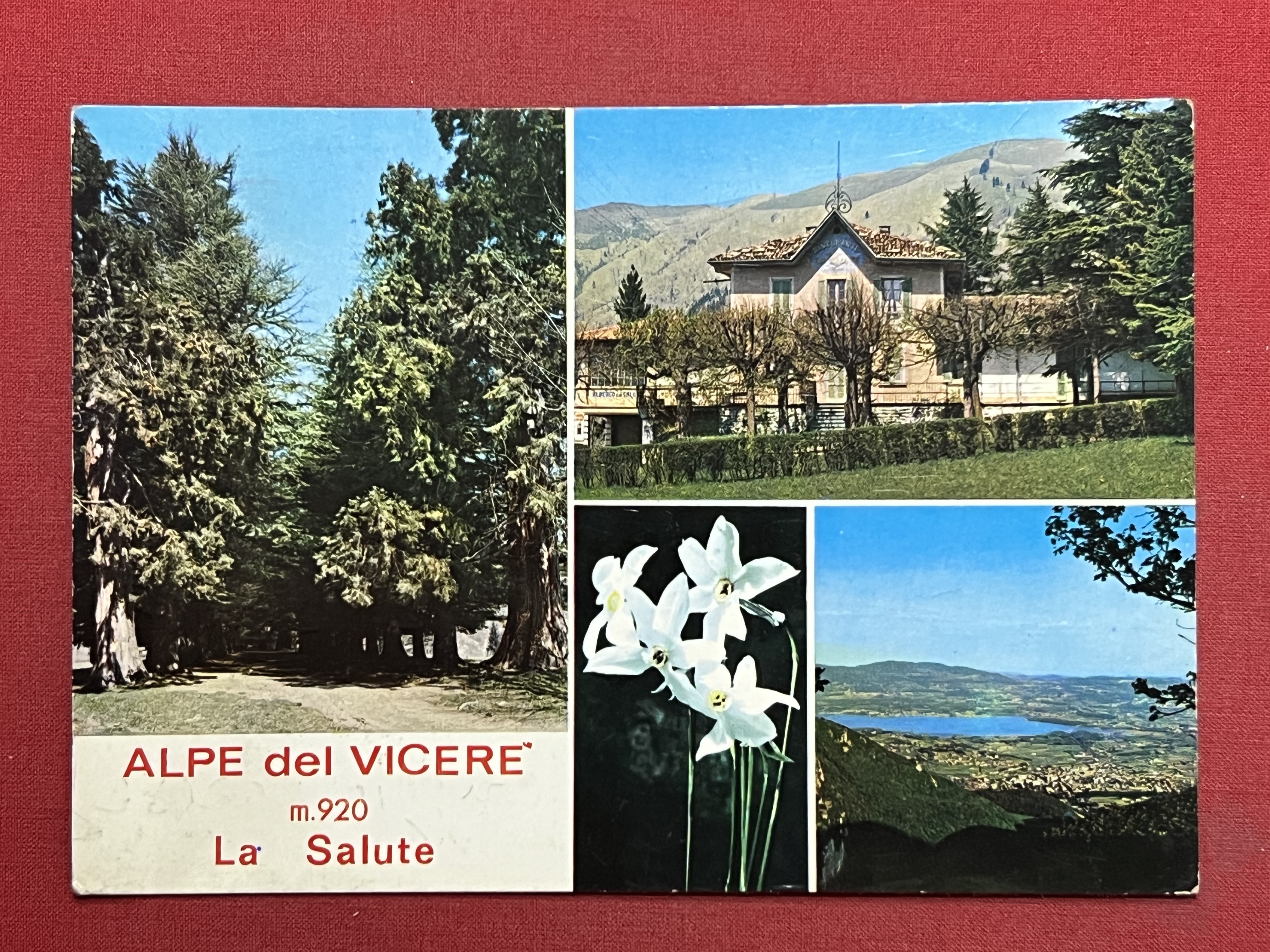 Cartolina - Alpe del Vicerè ( Como ) - La …