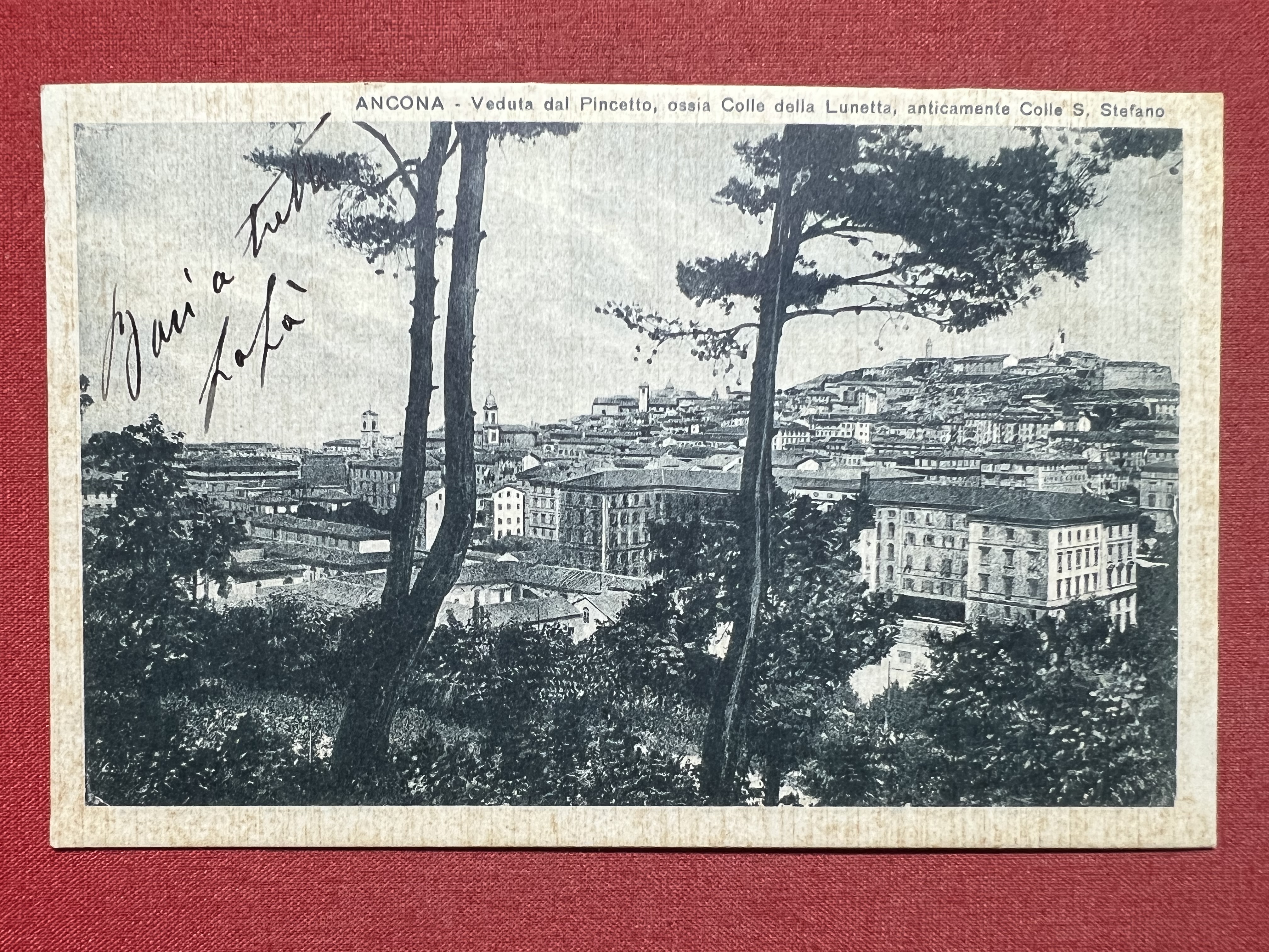 Cartolina - Ancona - Veduta dal Pincetto, ossia Colle della …