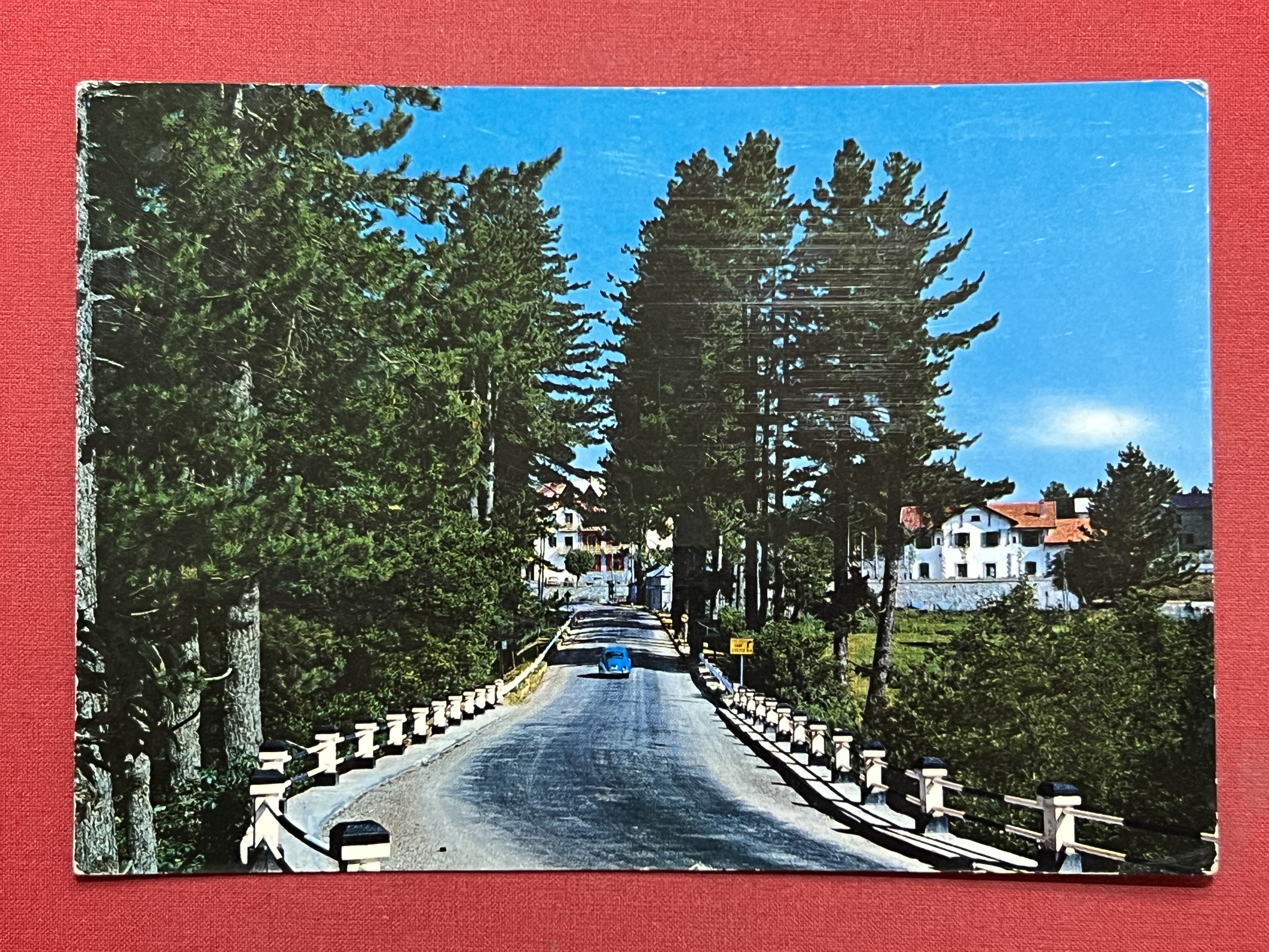 Cartolina - Bellezze di Calabria Sila - Camigliatello Silano ( …