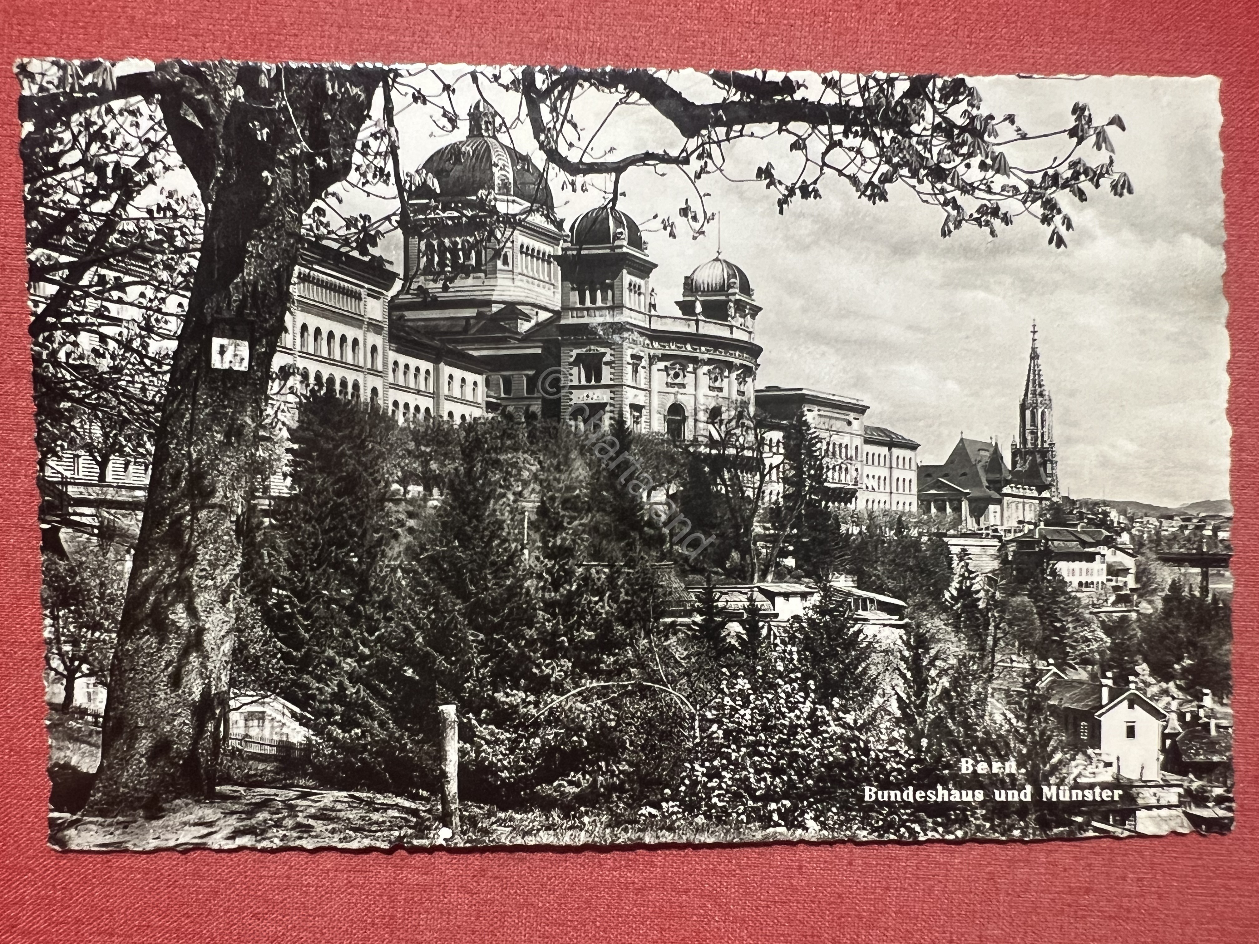 Cartolina - Bern - Bundeshaus und Munster - 1953