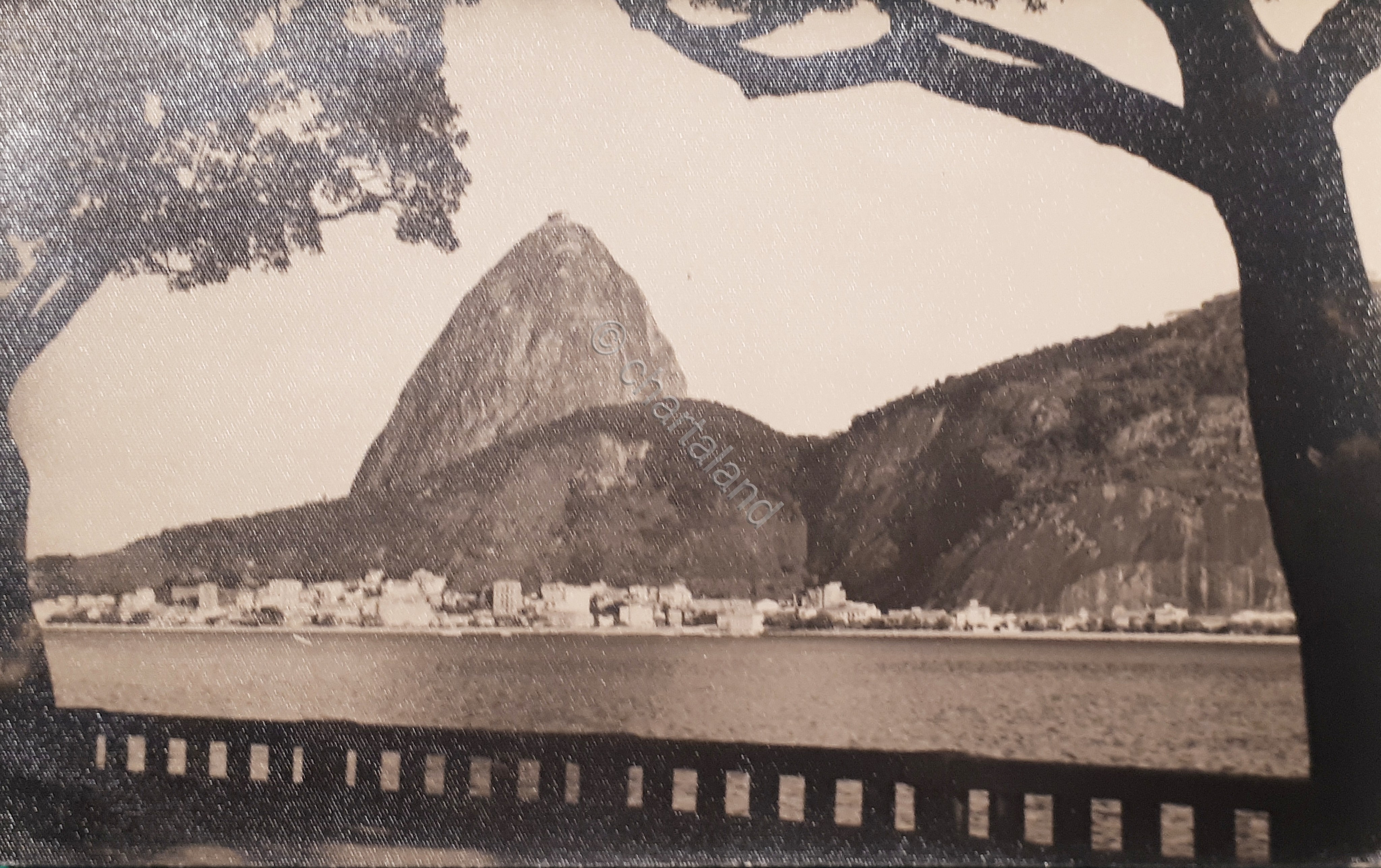 Cartolina - Brasile - Rio De Janeiro - 1951