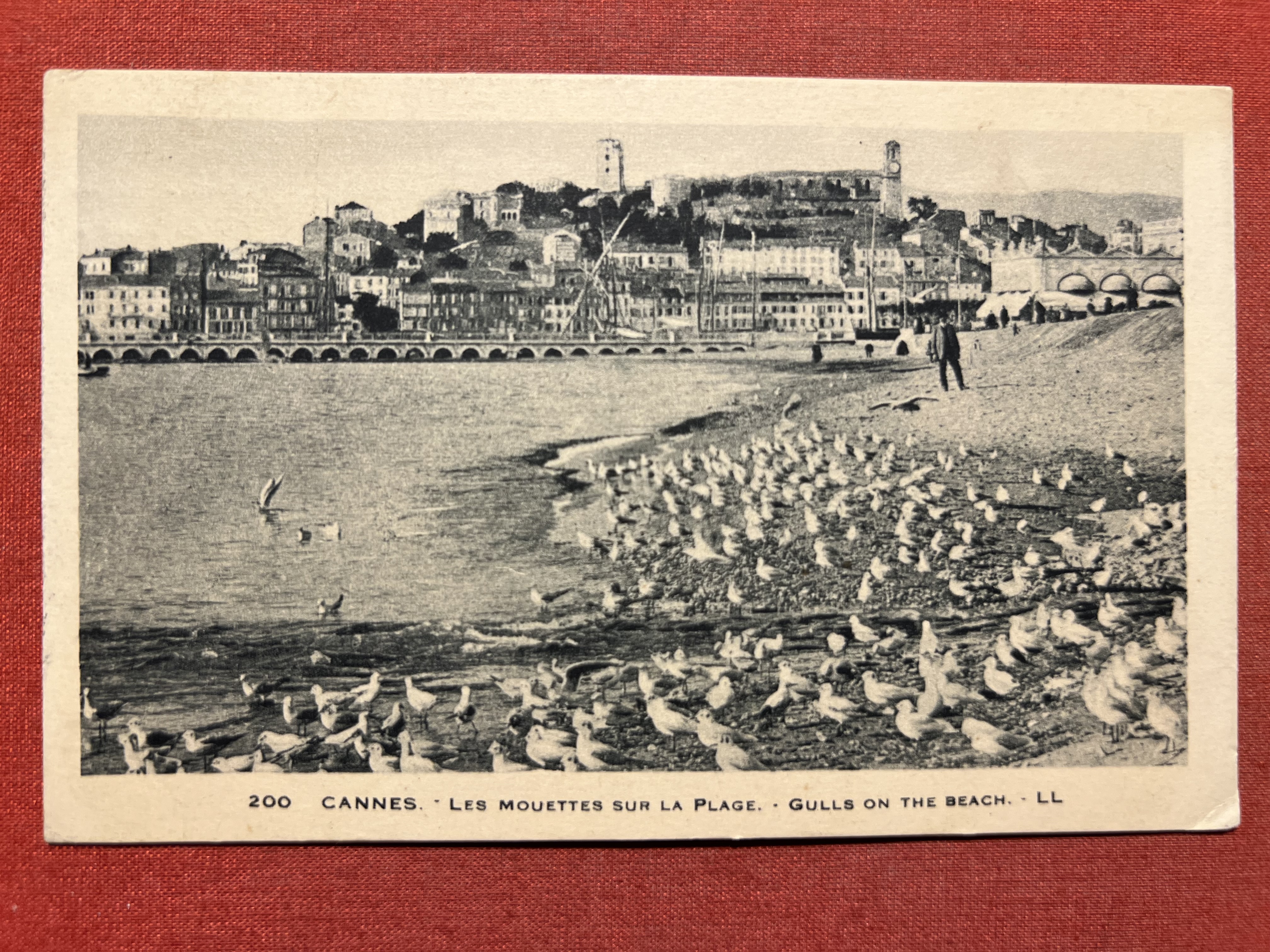 Cartolina - Cannes - Les Mouettes sur la Plage - …
