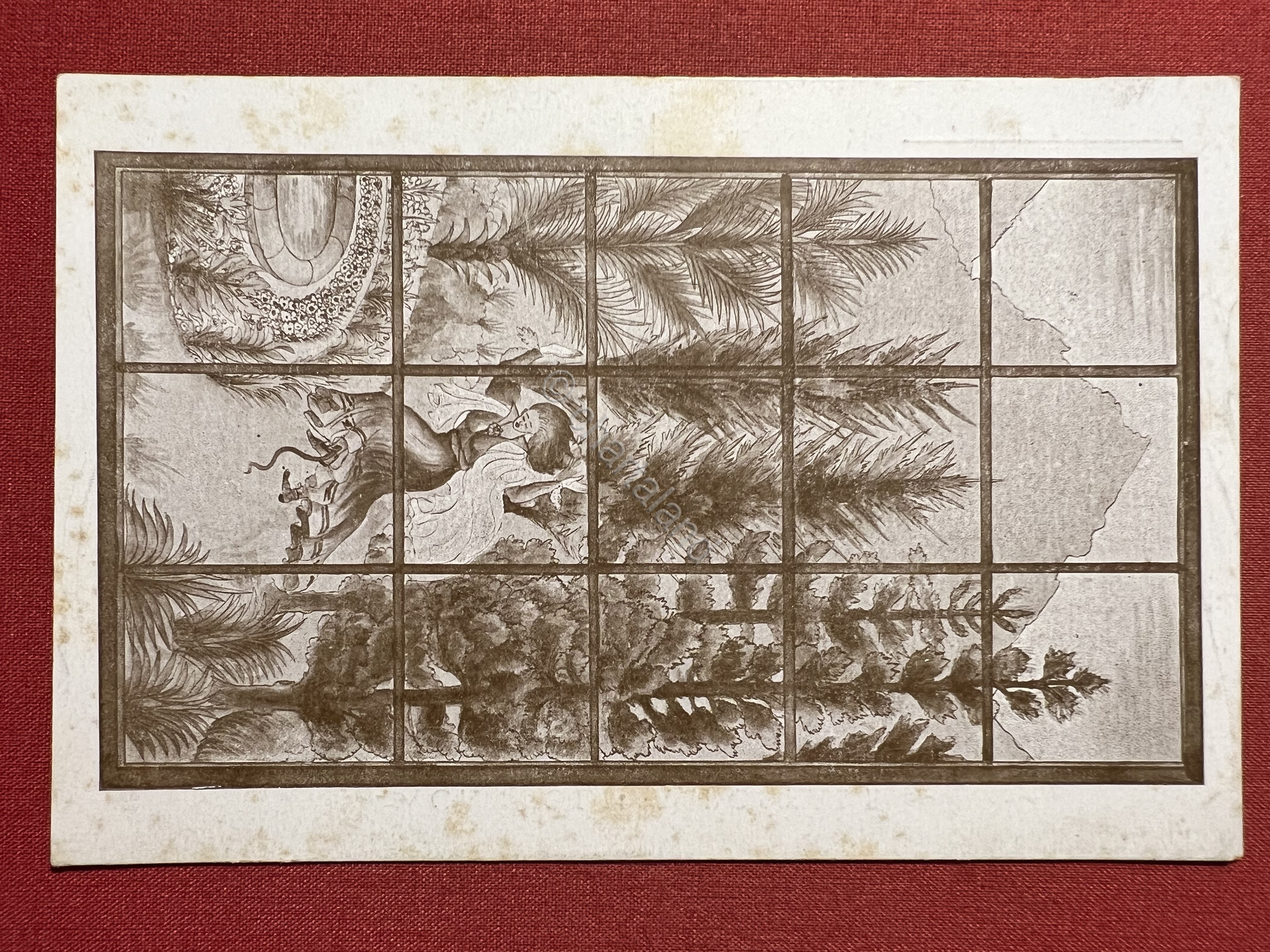 Cartolina - Canzone del Petrarca con Illustrazioni di Bruno da …